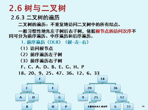 軟件技術基礎與開發 第2章第5節 樹與二叉樹及其在軟件開發與技術推廣中的應用