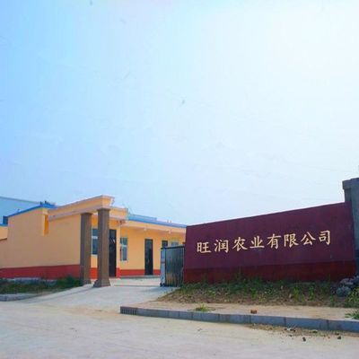 旺潤(rùn)肥料廠家 專業(yè)有機(jī)肥與水溶肥定制加工，創(chuàng)新驅(qū)動(dòng)農(nóng)業(yè)未來(lái)